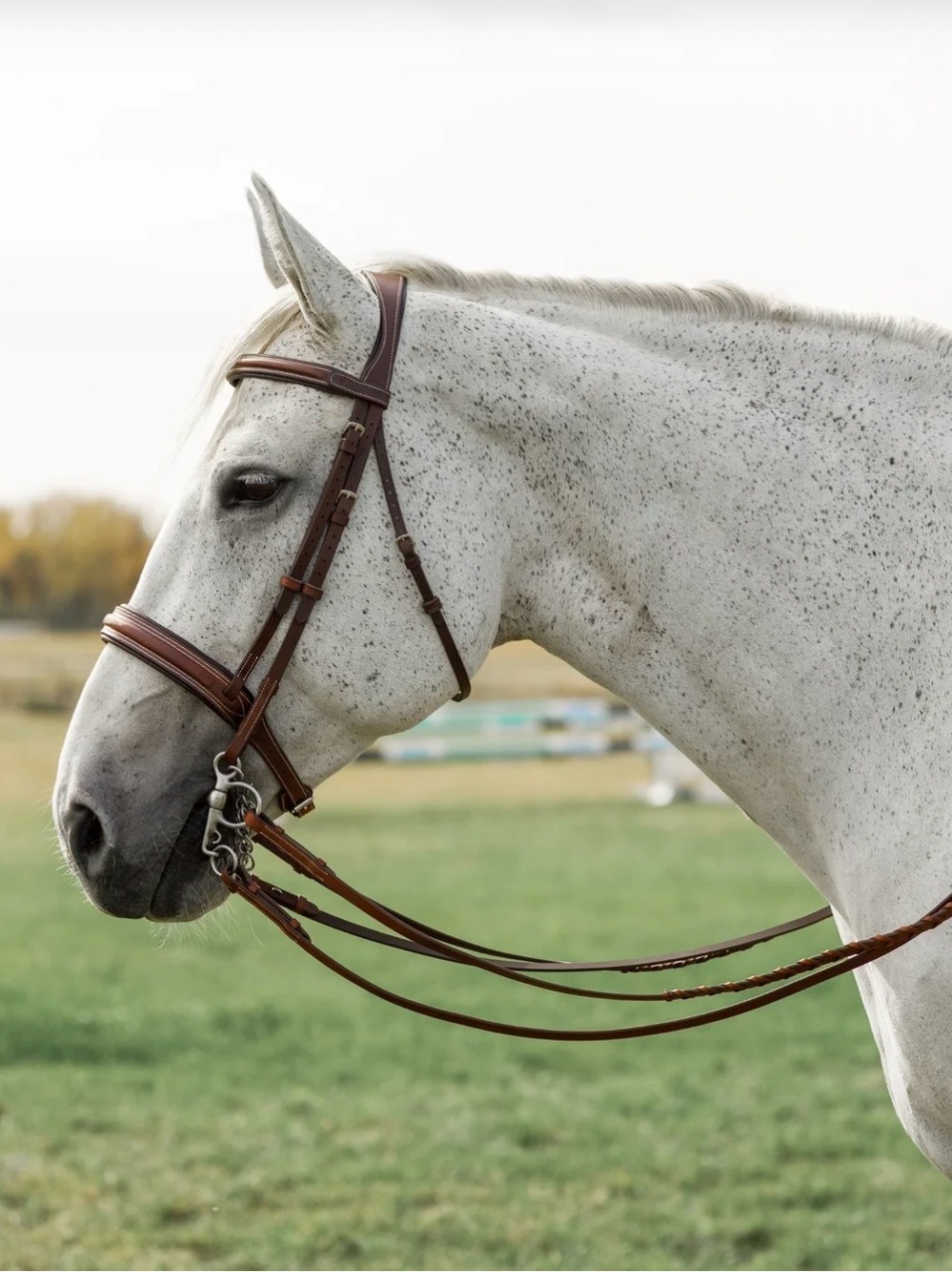 Full size hunter bridle NWT